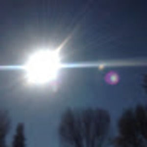 Meet your Posher, Rodney